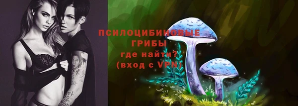 ешки Карпинск