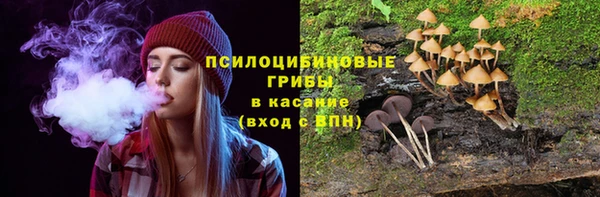 бошки Абинск